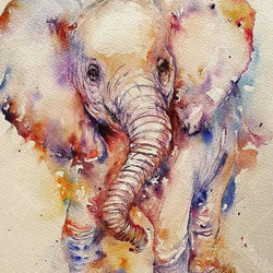 Baby Elephant Paint by Diamonds