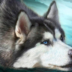 Cute Husky Diamond Painting Kit