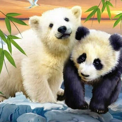 Cute Panda & Polar Bear Painting Kit