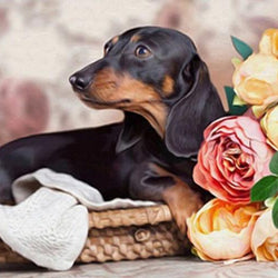 Dachshund & Flowers Paint with Diamonds