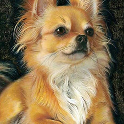 Chihuahua Painting Kit