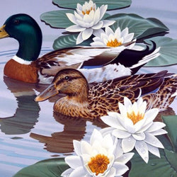 Ducks Pair & White Lotus Diamond Painting