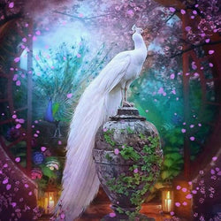 Elegant White Peacock Paint by Diamonds