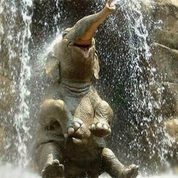 Elephant DIY Painting Kit