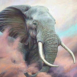 Elephant Square Drill