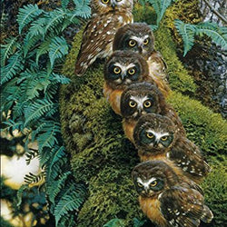 Family of Owls Diamond Painting Kit