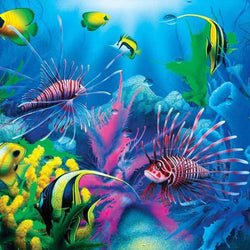 Fish Aquarium Paint by Diamonds