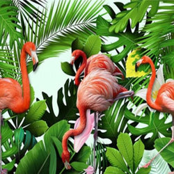 Flamingos & Plants Paint by Diamonds