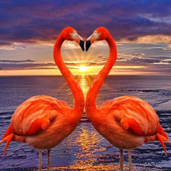 Flamingos Making Heart Shape Diamond Painting