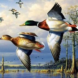 Flying Ducks Diamond Painting