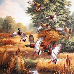 Ducks Diamond Painting