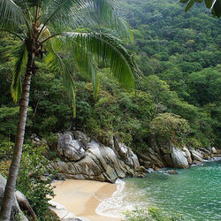 Forest Beach- Painting with Diamond