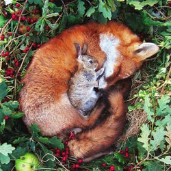 Fox & Rabbit Diamond Painting Kit