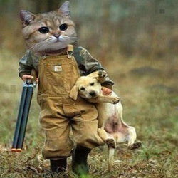  Gangster Cat & Puppy Paint by Diamonds