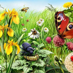 Garden with Insects Diamond Painting Kit