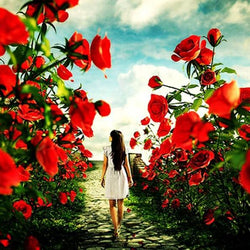 Girl Walking in Rose Garden Diamond Painting
