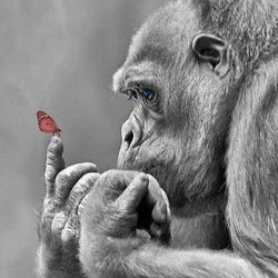 Gorilla Painting Kit