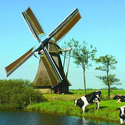 Cows Diamond Painting Kit