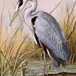 Great Blue Heron Paint by Diamonds