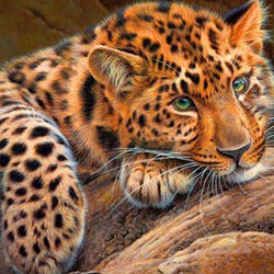Cheetah Diamond Painting Kit