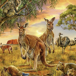 Australian Animals Painting Kit