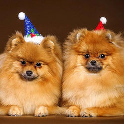 Happy Dogs on Christmas Diamond Painting
