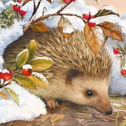 Hedgehog In Snow Diamond Painting