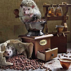 Hedgehog Painting Kit