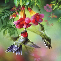 Humming Birds Painting Kit