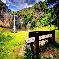 Hunua New Zealand DIY Painting