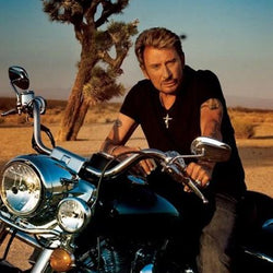 Johnny Hallyday Paint by Diamonds