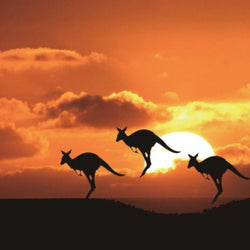 Kangaroo Diamond Painting