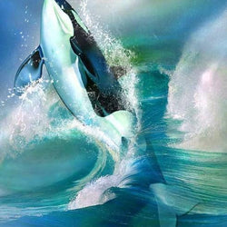 Killer Whale Diamond Painting Kit