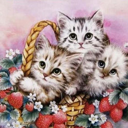 Kittens Diamond Painting Kit
