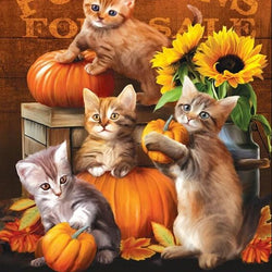 Kittens & Pumpkins Diamond Painting Kit