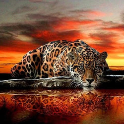 Leapord & Red sky Diamond Painting