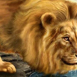 Lion Drinking Water Paint by Diamonds