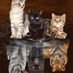 Little Cats Dreaming Big Paint by Diamonds