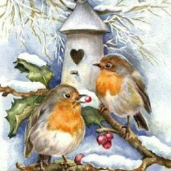 Little House of Snow Birds Diamond Painting