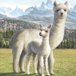 Llama Diamond Painting Kit
