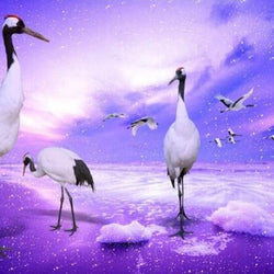 Long Legged Cranes Paint by Diamonds