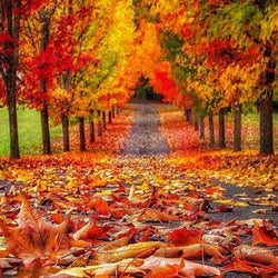 Lovely Autumn Diamond Painting Kit