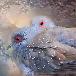 Lovely Dove Pair Paint by Diamonds