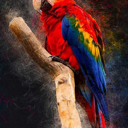 Macaw Parrot Paint by Diamonds