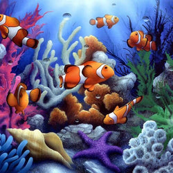 Fish Diamond Painting Kit