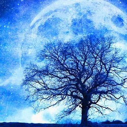 Moonlight Tree Paint by Diamonds