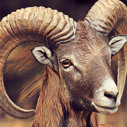 Mountain Goat with Big Horns Diamond Painting