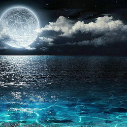 Night View Landscape Painting Kit
