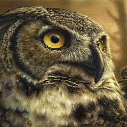 Owl Beauty Painting with Diamond