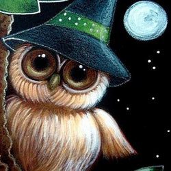 Owl Wearing Hat at Night Diamond Painting
